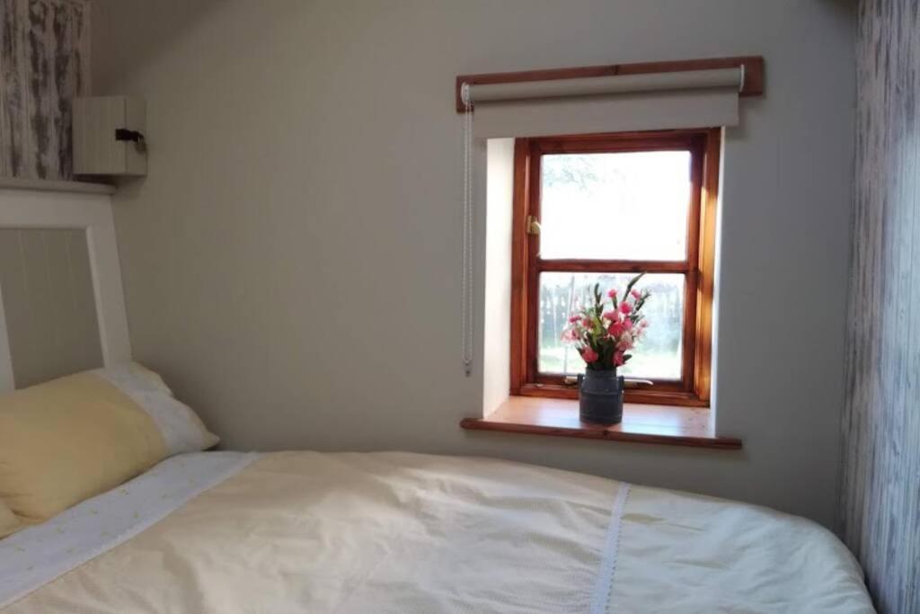 Farm Accommodation - The Lizard Peninsula, Cornwall ヘルストン エクステリア 写真