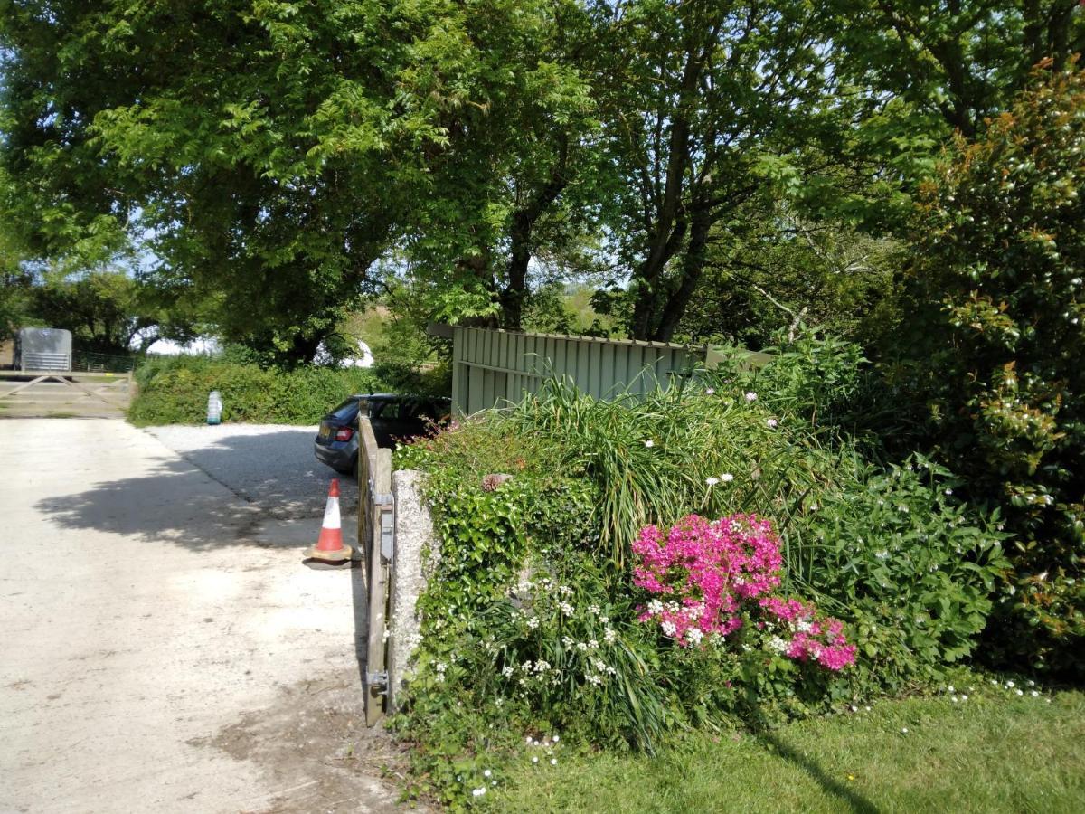 Farm Accommodation - The Lizard Peninsula, Cornwall ヘルストン エクステリア 写真